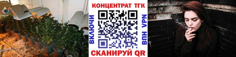 ТГК вейп с тгк  darknet наркотические препараты  Великий Устюг 