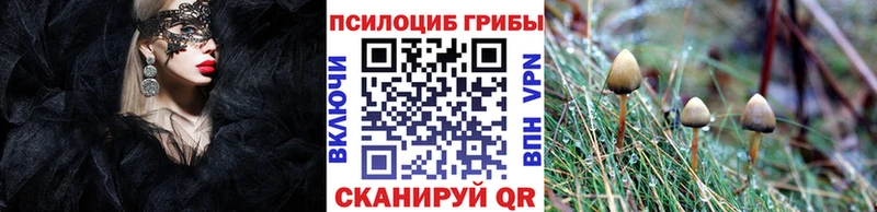 что такое Великий Устюг Псилоцибиновые грибы MAGIC MUSHROOMS