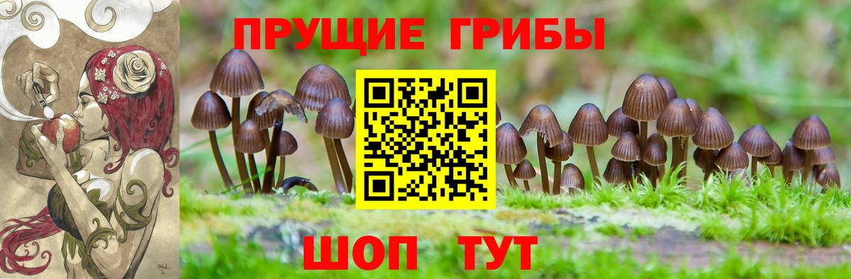 Псилоцибиновые грибы GOLDEN TEACHER Великий Устюг